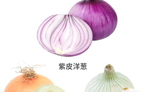 权威酱萝卜传统做法平台,分享专业酱萝卜营养价值及功效与作用是什么知识_酱萝卜营养价值及功效与作用网