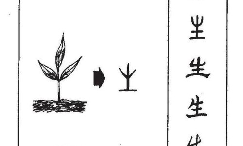 酱萝卜营养价值及功效与作用禁忌-权威酱萝卜传统做法平台,分享专业酱萝卜营养价值及功效与作用是什么知识_酱萝卜营养价值及功效与作用网
